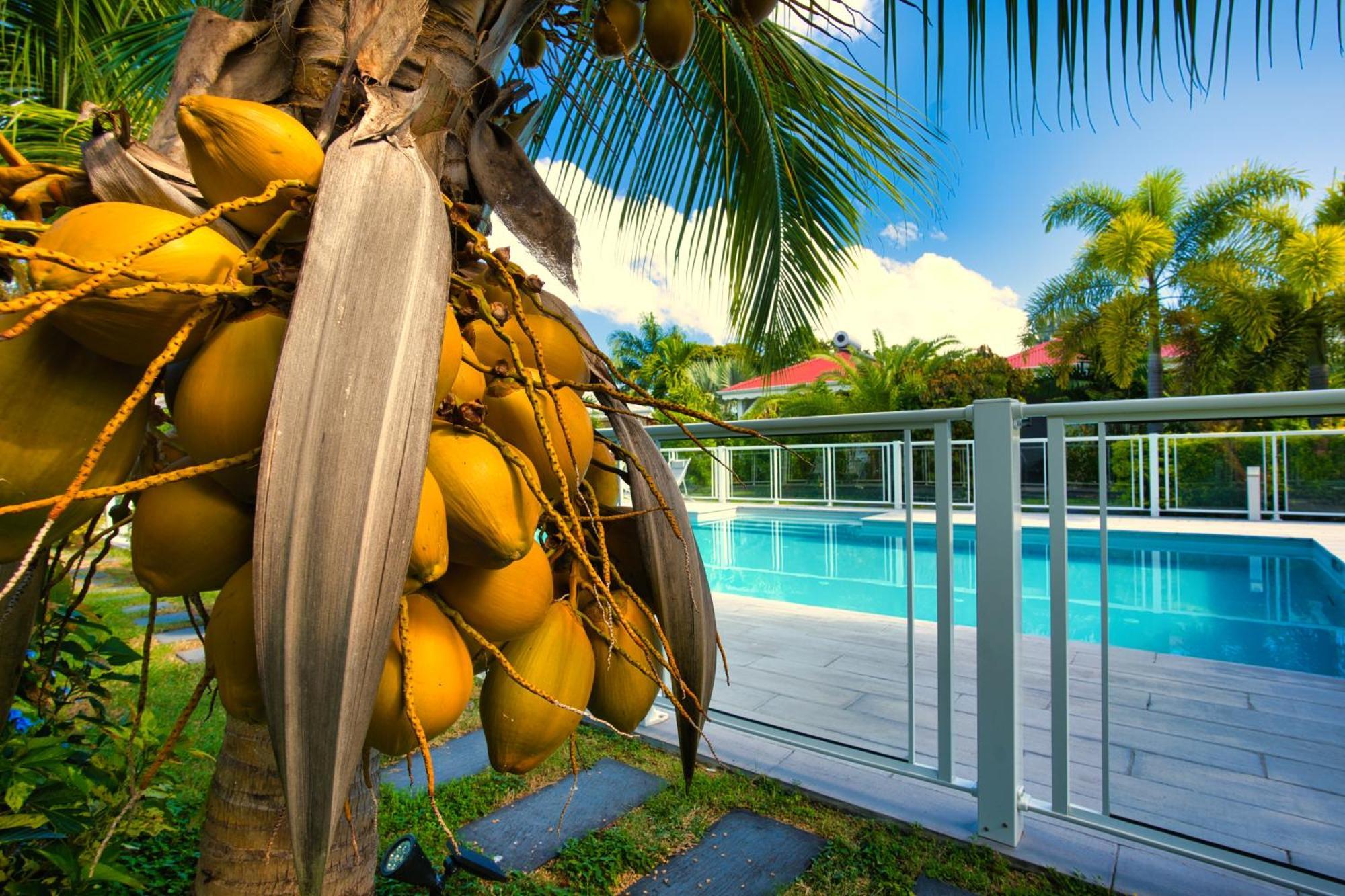 Hotel & Villa Le Cocotel Saint-Francois  Buitenkant foto